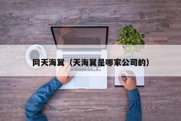 网天海翼（天海翼是哪家公司的）