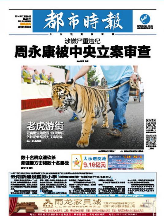 张戎：在非遗薪火里守住一份“笨功夫”
