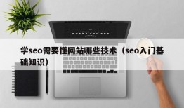 学seo需要懂网站哪些技术（seo入门基础知识）