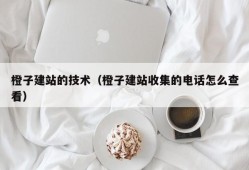 橙子建站的技术（橙子建站收集的电话怎么查看）
