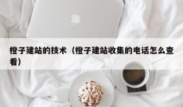 橙子建站的技术（橙子建站收集的电话怎么查看）