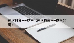 武汉抖音seo技术（武汉抖音seo技术公司）