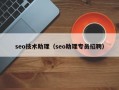 seo技术助理（seo助理专员招聘）