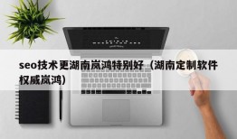 seo技术更湖南岚鸿特别好（湖南定制软件权威岚鸿）