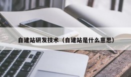 自建站研发技术（自建站是什么意思）