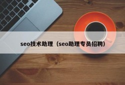 seo技术助理（seo助理专员招聘）