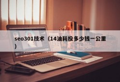 seo301技术（14油耗投多少钱一公里）