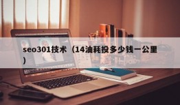 seo301技术（14油耗投多少钱一公里）