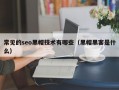 常见的seo黑帽技术有哪些（黑帽黑客是什么）