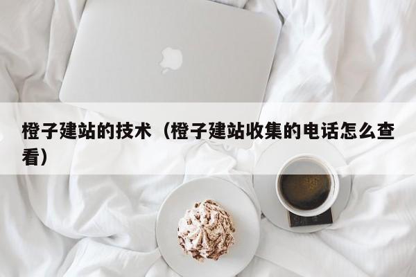 橙子建站的技术(橙子建站收集的电话怎么查看)