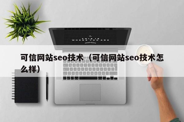 可信网站seo技术(可信网站seo技术怎么样)