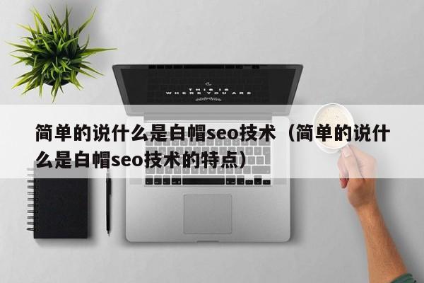 简单的说什么是白帽seo技术(简单的说什么是白帽seo技术的特点)