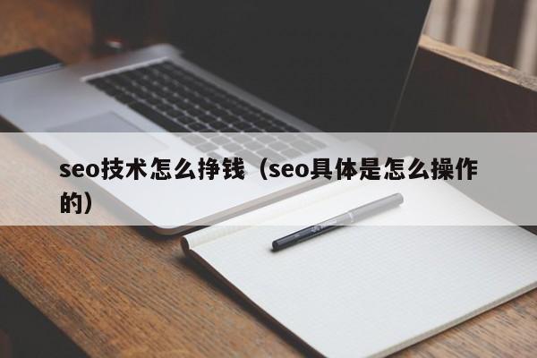 seo技术怎么挣钱(seo具体是怎么操作的)