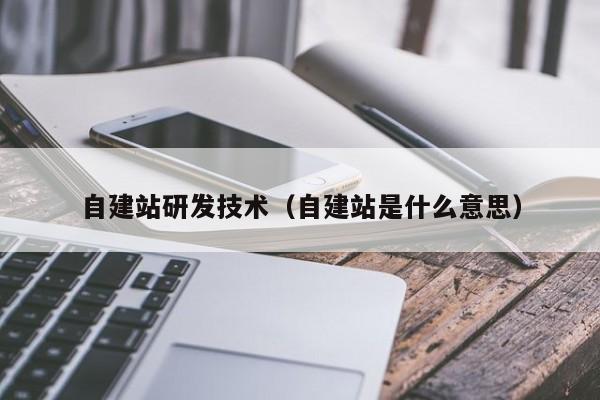 自建站研发技术(自建站是什么意思)